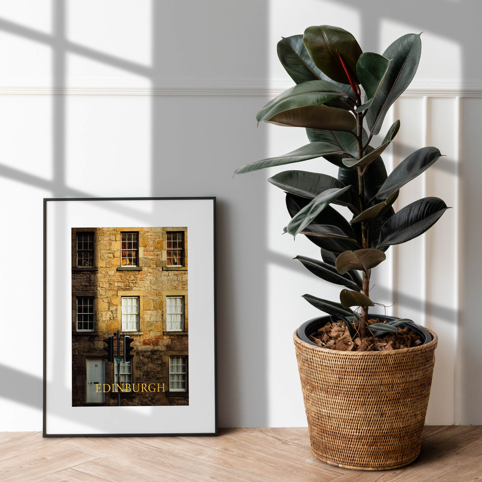 Edinburgh photographic print beside a house plant